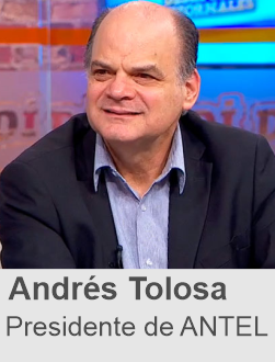 tolosa antel