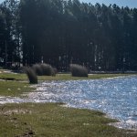 Fotos San Gregorio de Polanco